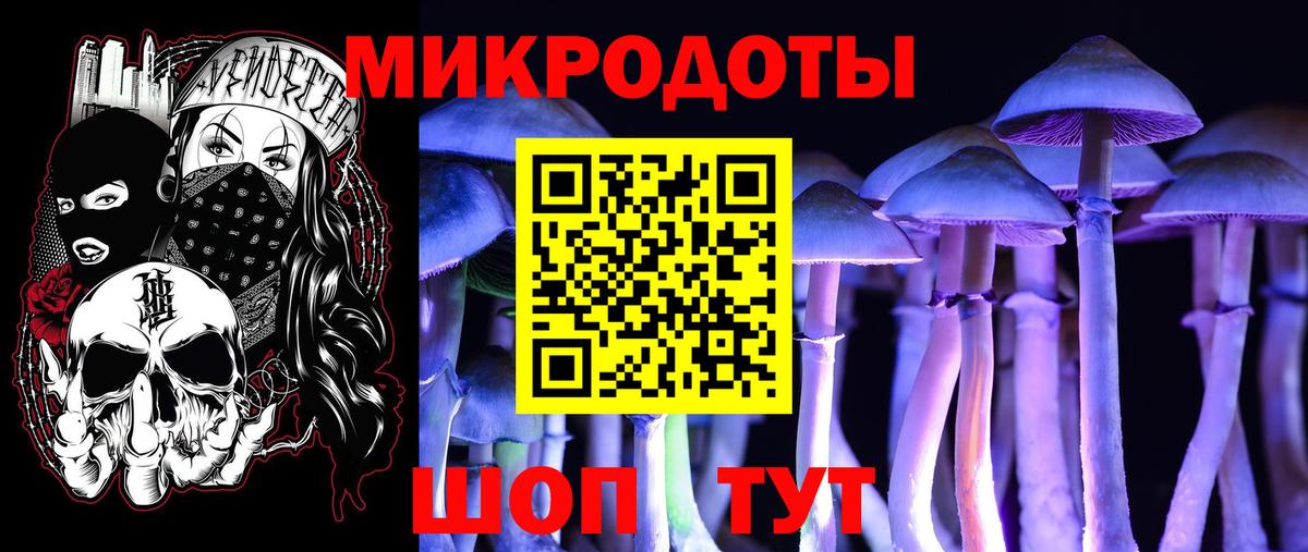 Псилоцибиновые грибы MAGIC MUSHROOMS  Вход с VPN  Старая Купавна  Псилоцибиновые грибы GOLDEN TEACHER 